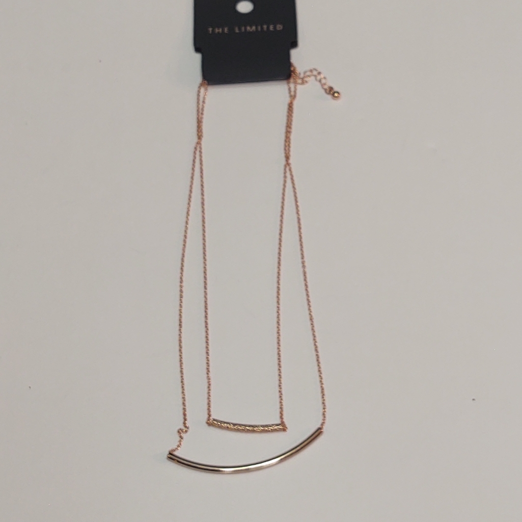 The Limited 2 Bar Layered Necklace Nwt